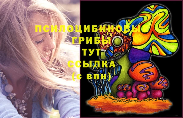 PSILOCYBIN Балабаново